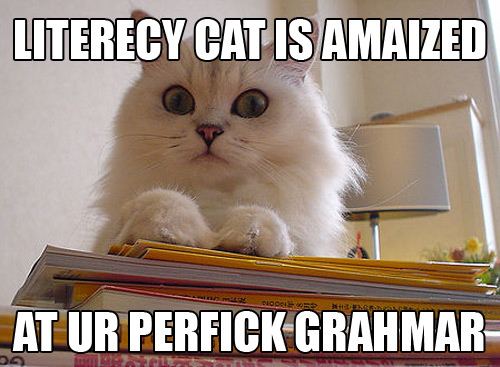 Literacy Cat